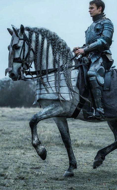 Knight On Horse Reference, Knights On Horses, Horse Rider Reference, Jousting Aesthetic, Horse Riding Reference, Person Riding Horse, Knight With Horse, Knight Riding Horse, Knight On A Horse