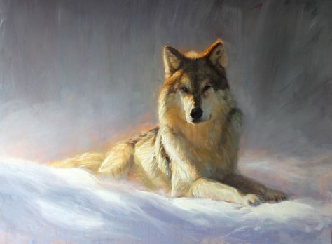 Art Knowledge, Western Paintings, Werewolf Art, Wolf Wallpaper, Art Tools Drawing, Surrealism Painting, Fox Art, Wolf Art, Art Tools