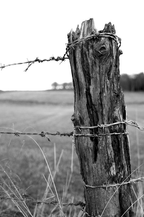 Rural Photography, Cowboy Life, Country Fences, Rustic Fence, Country Barns, Farm Photography, Old Fences, Farm Fence, Fence Post