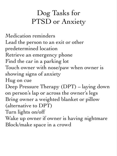 Pitbull Service Dog, Service Dog Training Commands, Service Dog Tasks List, Assistance Dog Gear, Psychiatric Service Dog Tasks, Psychiatric Service Dog Training, Psychiatric Service Dog Gear, Service Dog Training Checklist, Service Dog Gear For School