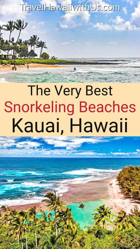 Best Kauai Snorkeling: 7 Beaches & Tours - 2024 Complete Guide Waipouli Beach Resort Kauai, Poipu Beach Kauai, Best Beaches In Kauai, Kauai Hawaii Beaches, "kaui Hawaii", Kauai Hawaii Things To Do In, Glass Beach Kauai, Kaui Hawaii, Poipu Kauai Hawaii