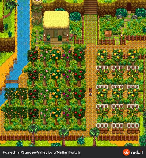 Stardew Farms, Stardew Valley Layout, Stardew Valley Tips, Stardew Valley Farms, Valley Game, Star Valley, Farm Layout, Mango Tree, Banana Tree