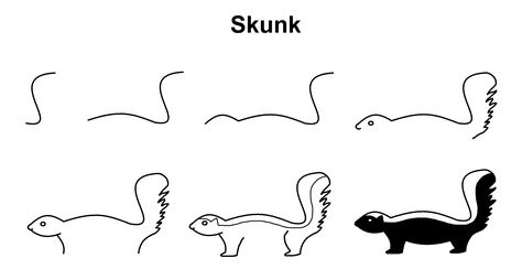 Step-by-step tutorial to draw a skunk. How To Draw A Skunk, Skunk Tattoo Simple, Cute Skunk Drawing Easy, Skunk Drawing Simple, Cute Skunk Tattoo, Skunk Clipart, Cute Skunk Art, Skunk Tattoo, Skunk Drawing