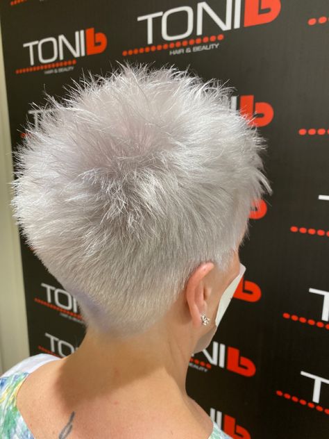 Silver Pixie, Spikey Short Hair, Haircut Gray Hair, Silver White Hair, Short Spiky Haircuts, Women Haircuts, Short Hair Back, Short White Hair, Short Spiked Hair