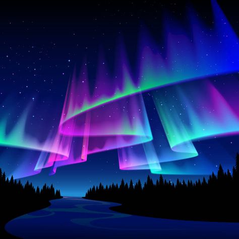 Aurora Artwork, Northern Lights Tattoo, Northern Lights Art, Northern Lights Photography, Aurora Sky, Northern Lights Painting, Aurora Borealis Northern Lights, Forest Night, Image Film