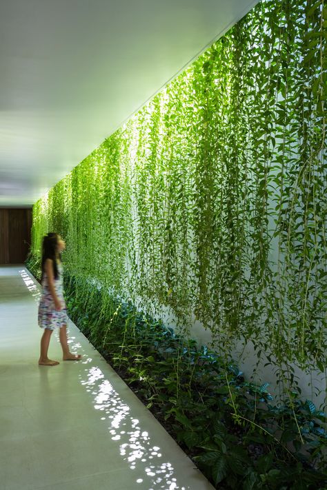 Plant-lined courtyards separate the three single-storey volumes that form this house designed by MIA Design Studio for a coastal city of Vietnam Kebun Herbal, نباتات منزلية, Desain Lanskap, Green Architecture, Green Interiors, Interior Garden, Agra, Green Wall, Vertical Garden