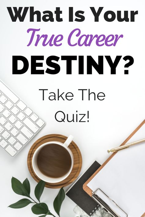 Career Test, Career Quiz, Career Search, Different Careers, Choosing A Career, Career Exploration, Career Inspiration, Career Quotes, Career Counseling