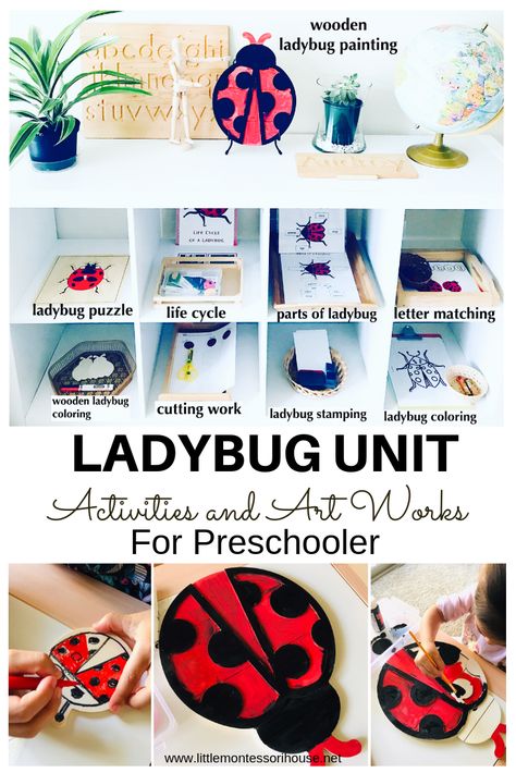 Montessori Themes, Ladybugs Preschool, What Is Montessori, Montessori House, Insects Preschool, Science For Toddlers, Forest School Activities, Ladybug Theme, Ladybug Crafts