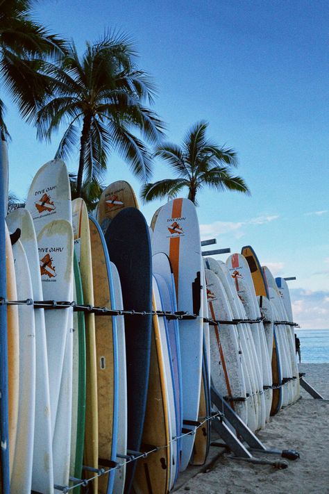 Surfer Vibes, Surfing Aesthetic, Surf Room, Surf Aesthetic, Surf Vibes, Ocean Surf, Surf Life, Surfs Up, Summer Dream