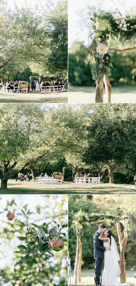 Orchard Wedding Ceremony, Fall Orchard, Apple Orchard Wedding, Apple Garden, Dark Green Wedding, Orchard Wedding, Yosemite Wedding, Outdoor Fall Wedding, Wedding Themes Fall