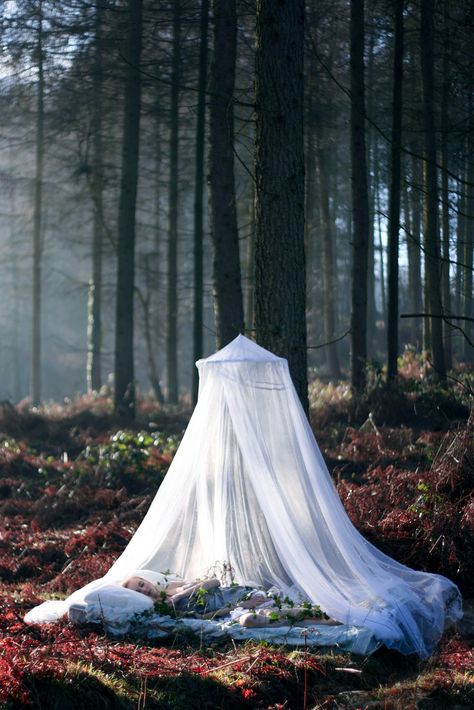 or even something like this....I should be able to make this with a hula hoop and some sheers Wedding Canopy, Fabric Canopy, Magic Garden, Canopy Outdoor, Canopy Tent, Summer Diy, Foto Inspiration, In The Woods, Summer Decor