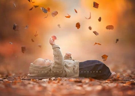 Nice idea 6 Month Baby Picture Ideas Boy, Fall Baby Photos, Fall Baby Pictures, 6 Month Baby Picture Ideas, Baby Milestones Pictures, Family Photos With Baby, Baby Photoshoot Boy, Baby Boy Pictures, Toddler Photos