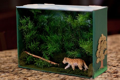 Shoebox Habitat, Kindergarten Science Projects, Jungle Habitat, Habitat Diorama, Rainforest Project, Diorama Kids, Diarama Ideas, Ecosystems Projects, Habitats Projects