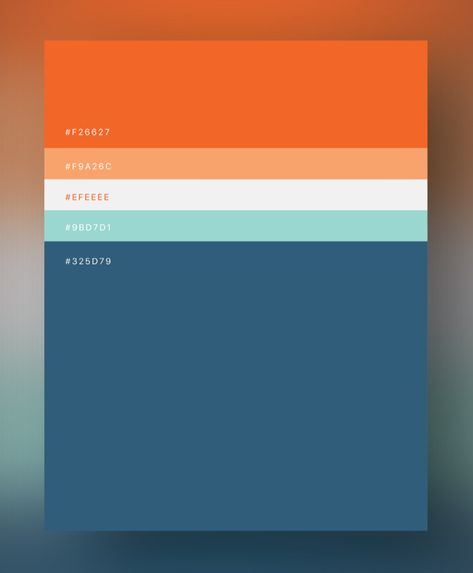 Ruangan Studio, Flat Color Palette, Ui Color, Color Design Inspiration, Orange Color Palettes, Hex Color Palette, Color Vibe, Color Palette Bright, Brand Color Palette