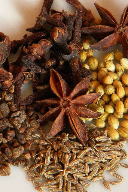 Perfect fall colors Spices Photography, Tea And Books, Herbal Apothecary, Chicken Cordon Bleu, Spice Box, Ayurvedic Herbs, Holiday Scents, Spices And Herbs, Story Inspiration