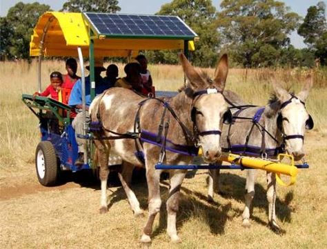 HAPV – Human and Animal Powered Vehicle in South Africa    The HAPV (Advertised as HAPPY) is a twist on the ‘horse and buggy’ mode of transportation, making this a donkey, cart, solar panel on a canopy FUV (Farm Utility Vehicle) that is quite ingenious and absolutely AfriGadget. A donkey drawn carriage is commonplace in many countries in Africa, and this retrofit by the organization Water and Wheel adds more functionality and utility especially suited for rural Africa. Donkey Cart, Donkey Drawing, Donkey Art, Countries In Africa, Pull Wagon, Solar Powered Cars, Human And Animal, Cute Donkey, Pull Cart