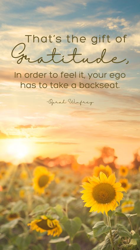 A grateful heart sees many blessings. 💖 What are you thankful for today? #GratefulHeart #DailyGratitude #InspirationDaily #BlessedAndGrateful #MindfulLiving #GratitudeQuotes #BecomingME Begin Each Day With A Grateful Heart, Grateful Thankful Blessed Quotes, Grateful Quotes, Glorify God, Blessed Quotes, Grateful Thankful Blessed, Daily Gratitude, Gratitude Quotes, Grateful Heart