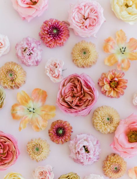 Flower Flatlay Photography, Flower Flatlay, 1960s Hair And Makeup, Creative Flatlay, Flowers Flatlay, Flower Flat Lay, Pink Wedding Receptions, Willowby By Watters, Weekly Challenges