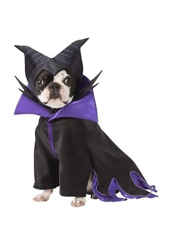 Mysterious Dress, Disney Dog Costume, Maleficent Disney Villains, Company Halloween, Big Dinner, Maleficent Costume, Disney Maleficent, Halloween Tree, Puppy Dog Eyes