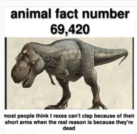 Dinosaur Facts, Dark Jokes, Meme Meme, Meme Page, Teacher Memes, Dark Memes, Fun Pics, Too Good To Be True, Animal Facts