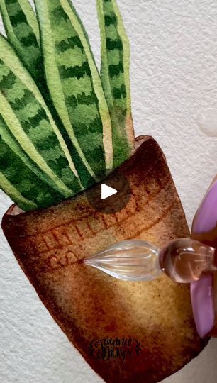 181K views · 4.2K reactions | Potted Sansevieria Plant in Watercolor | Using some beautiful #handmade #mineral watercolors to paint the #terracotta pot. The Sansevieria 🪴 leaves were fun to make with minimal brush strokes.... | By Jeannie Dickson Designs | Facebook Conte Crayon, Sansevieria Plant, Sketching Tools, Terracotta Pot, Watercolor Pencils, Terracotta Pots, Watercolor And Ink, Shine Bright, Painting Techniques