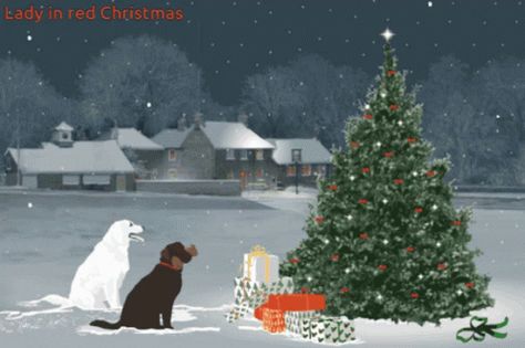 Christmas Tree Christmas Lights GIF - Christmas Tree Christmas Lights Christmas Eve - Discover & Share GIFs Christmas Animated Gif, Christmas Tree And Dogs, Christmas Tree Gif, Merry Christmas Animation, Merry Christmas Gif, Merry Christmas Images, Merry Christmas Happy Holidays, Merry Christmas Greetings, Christmas Graphics