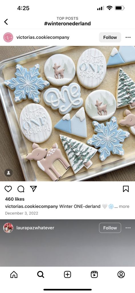 Winter Onederland Sugar Cookies, Winter In Onederland Party Ideas, Winter Onederland Cookies Boy, Winteroneder Land Theme Party Boy, Winter Cakesicles, Winter Onederland Cake Boy, Winter Onederland Party Boy Decorations, December First Birthday Boy, Winter Onederland Birthday Party Boy