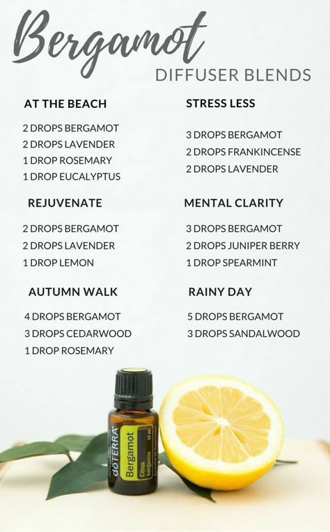 Bergamot Diffuser Blends, Candle Recipes, Diy Lotions, Doterra Diffuser Blends, Essential Oil Combinations, Doterra Essential Oils Recipes, Essential Oil Diffuser Blends Recipes, Essential Oils Guide, Essential Oil Diffuser Recipes