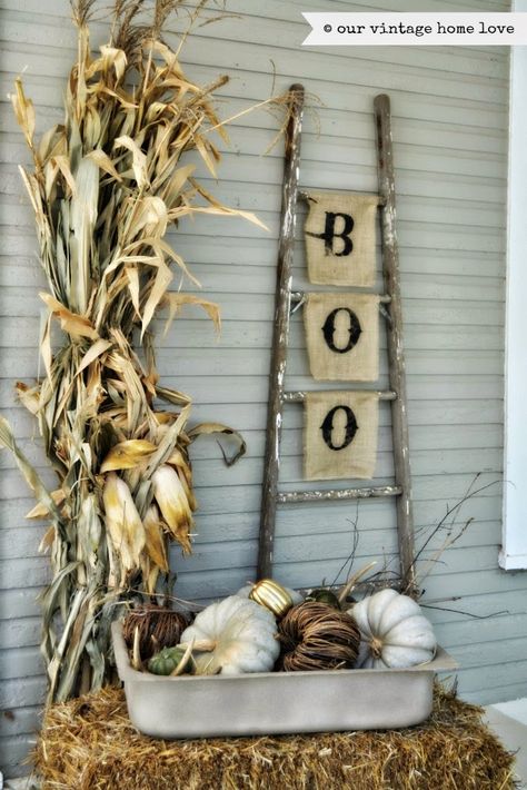 Thanksgiving Decorations Table Setting, Fall Porch Ideas, Porch Halloween, Outside Fall Decor, Old Ladder, Corn Stalks, Halloween Porch Decorations, Penny Pincher, Fall Deco