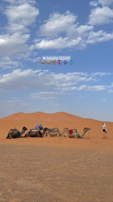 Dubai Vacation, Travel Picture Ideas, Dubai Desert, Senior Trip, Africa Safari, Marrakech Morocco, Egypt Travel, Gap Year, Travel Goals