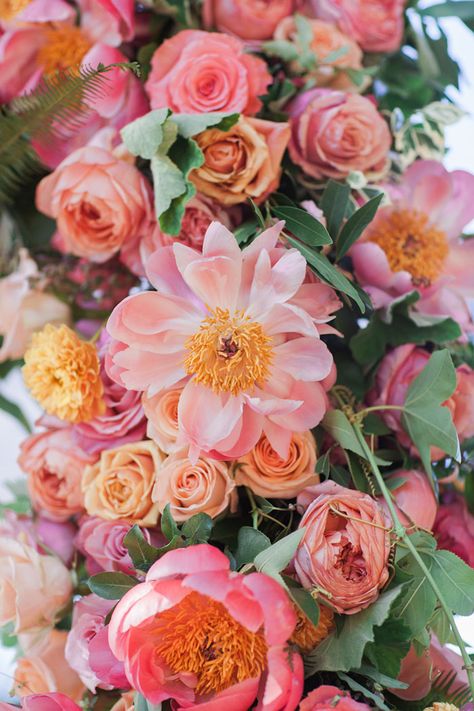 gorgeous floral decor Erin Taylor, Coral Charm Peony, Peonies Season, Color My World, Pink Inspiration, Flower Company, Peony Wedding, Bright Wedding, Wedding Ceremony Flowers