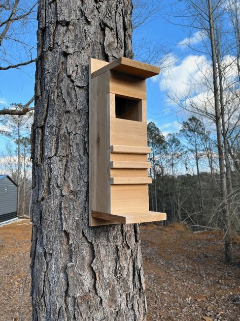 Owl Nest Box, Owl Box, Fence Pickets, Home Exteriors, Third Rail, Screech Owl, Nesting Box, Stainless Steel Hinges, Let Down