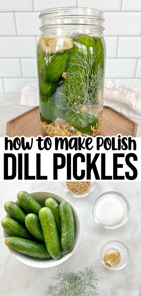 Polish dill pickles are made with small cucumbers, fresh dill, garlic, mustard seeds, salt, and water. They're crunchy, tangy, and delicious! Easy Dill Pickles, Garden Canning, Pickles Homemade, Making Dill Pickles, Refrigerator Pickles Dill, Garlic Dill Pickles, Homemade Pickles Dill, Kosher Dill Pickles, Dill Pickle Recipe