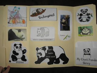 Giant Panda Lapbook- for when we study china Panda Poster Board Project, Panda Classroom, Panda Project, Panda Activities, Panda Day, Panda Theme, Lap Books, Lap Book, Land Animals