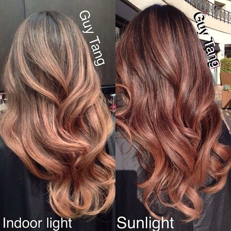 Natural Rose Gold in indoor light and sunlight Gold Ombre Hair, Rose Gold Hair Ombre, Michelle Phan, Guy Tang, Rose Gold Hair, Ombre Hair Color, Hair Color And Cut, Hair Envy, Gold Hair