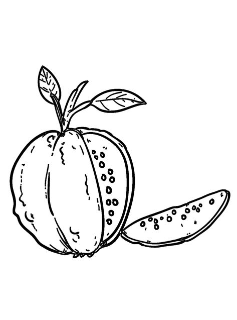 Guava - Lol Coloring Pages Guava Pictures, Lol Coloring Pages, Lol Coloring, Sketch Pencil, Coloring Pages, Sketch, Pencil, Quick Saves, Color