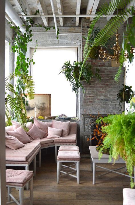 Blush Couch, Fern Living, Tea Area, Lots Of Plants, Living Vintage, Loft Living, Bohemian Living, Bohemian Living Room, Style At Home