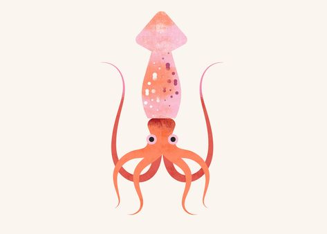 Behance :: Search Sea Creatures Illustration, Squid Illustration, Lagom Design, Adobe Illustrator Draw, Anniversary Books, Public Square, Textiles Projects, Animal Study, Fish Illustration