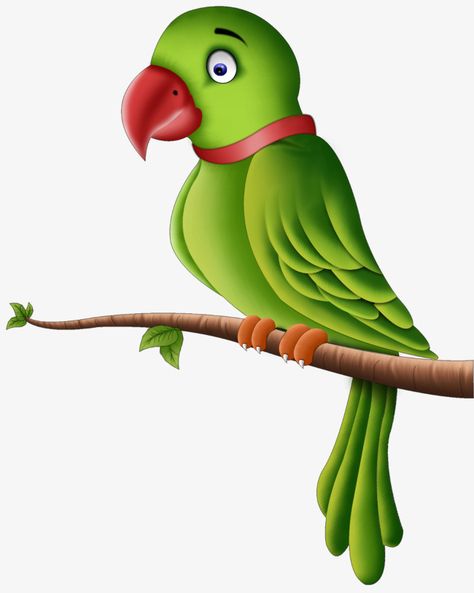 Branches on the parrot Parrot Png, Parrot Clipart, Parrot Cartoon, Parrot Drawing, Penguin Drawing, Parrots Art, Cartoon Birds, Cartoons Png, Animal Sketches