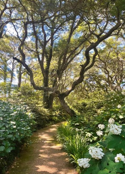 Pretty Like The Earth, Aesthetic Earth Pictures, Earth Mother Aesthetic, Element Earth Aesthetic, Earth Angel Aesthetic, Earth Asethic, Earth Academia, Four Elements Aesthetic, Earth Core Aesthetic