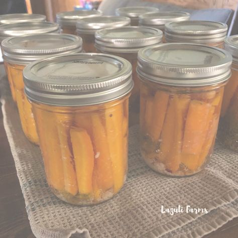 Pickled Dilly Carrots in the Water Bath Canner Dilly Carrots, Pickled Carrots Recipe, Pickled Carrot, I Always Come Back, Leftover Roast Beef, Egg Shop, Pickling Salt, Carrots Recipe, Pickled Carrots