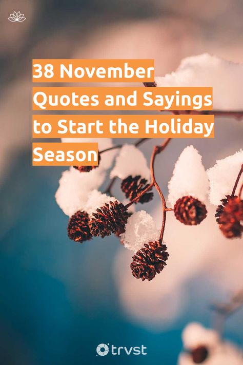 "38 November Quotes and Sayings to Start the Holiday Season"- November, for Americans, has always been a month to kick off the holiday and shopping season. Nobody will think of November without associating it with Thanksgiving Day, Black Friday, Veterans Day, and many more holidays and historical events. To discover more about the month of November, read... #trvst #quotes #mind&body #weather #black #extremeweather #health #sustainability #gogreen #winter #changemakers #getoutside #dogood Nov 1 Quotes, Quotes About The One, One Day Quotes, Seasonal Quotes, Growing A Mustache, November Quotes, Quotes Mind, Grateful Quotes, Season Quotes