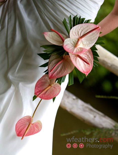 Pink Anthurium, Tropical Wedding Bouquets, Bouquets Ideas, Tropical Weddings, Floral Projects, Anthurium Flower, Bridesmaid Diy, Cascading Wedding Bouquets, Garden Works