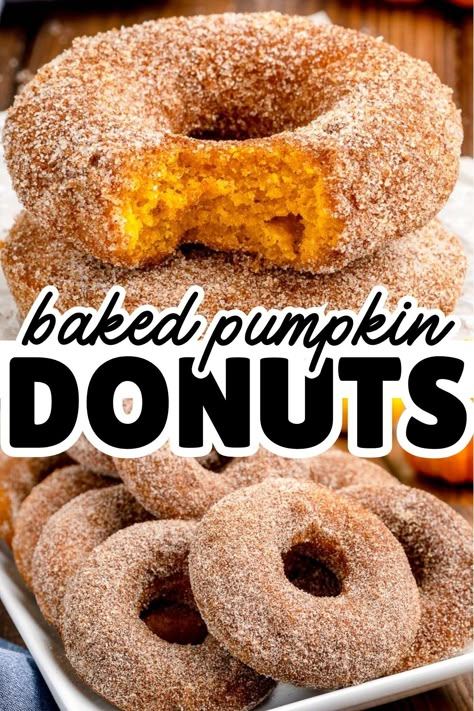 Baked Pumpkin Donuts are the perfect fall dessert recipe! Loaded with pumpkin spice flavor and coated in cinnamon sugar, these donuts are delicious and easy for Thanksgiving. Donut Recipe Baked, Pumpkin Donuts Recipe, Pumpkin Donut, Cake Doughnuts, Baked Donut, Easy Donuts, Baked Donut Recipes, Pumpkin Spice Donut, Donuts Donuts