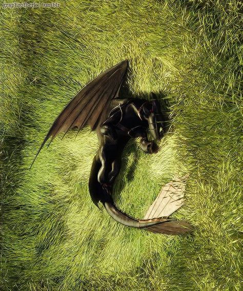 Toothless rolling around in grass How To Train Your Dragon Toothless, Httyd Toothless, Toothless And Stitch, Dragon Toothless, Dragons Riders Of Berk, Httyd Art, Toothless Dragon, Hiccup And Toothless, Dreamworks Dragons