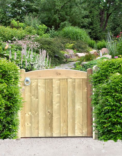 An image of a small arch top garden gate between a hedge with a garden in the background Small Garden Gates Wooden, Outdoor Gates Ideas, Small Garden Gates, Outdoor Gates, Gates Ideas, Wooden Garden Gate, Wooden Gates Driveway, Timber Gates, Outdoor Gate