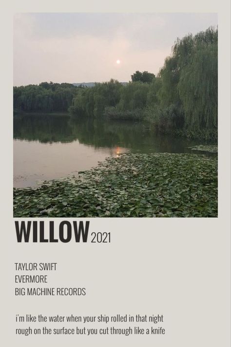 Willow Taylor Swift, Taylor Swift Discography, Taylor Swift Playlist, Polaroid Wall, Taylor Songs, Music Poster Ideas, Vintage Music Posters, Taylor Lyrics, Music Poster Design