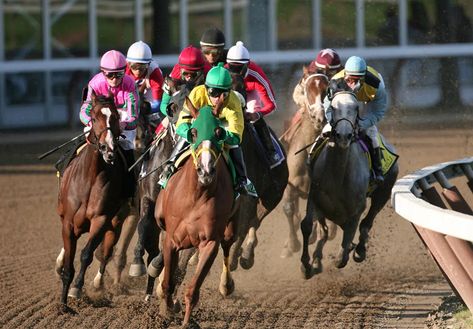 BELMONT STAKES - June 11, 2022 - National Today Faster Horses, Preakness Stakes, Triple Crown Winners, Belmont Stakes, Horse Dressage, Triple Crown, Preakness, Thoroughbred, Social Events