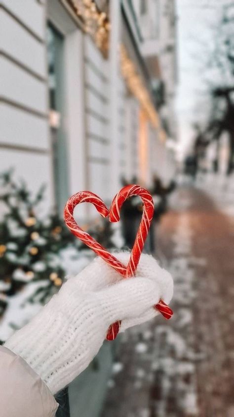 Cute Christmas Wallpaper, Christmas Phone Wallpaper, Christmas Feeling, Cadeau Photo, Wallpaper Iphone Christmas, Winter Wallpaper, Winter Pictures, Christmas Mood, Winter Aesthetic