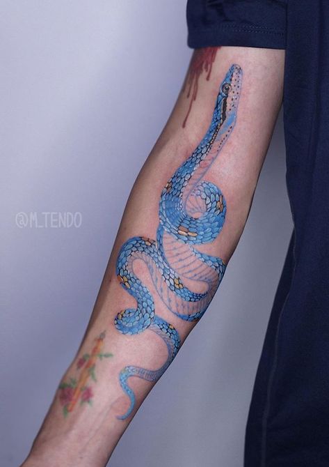 Yellow Snake Tattoo, Coloured Snake Tattoo, Colored Snake Tattoo, Color Snake Tattoo, Colorful Snake Tattoo, Blue Snake Tattoo, Tattoo Colorful, Clavicle Tattoo, Cuff Tattoo